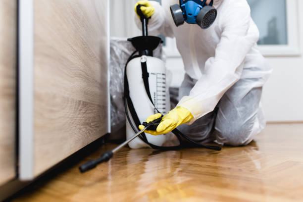 Best Pest Control Cost  in Revere, MA