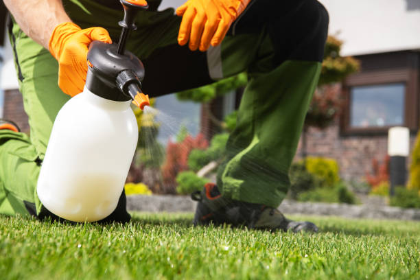 Best Best Pest Control Companies  in Revere, MA