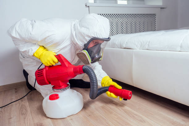 Best Termite Control Services  in Revere, MA