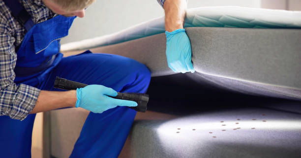 Best Pest Control Near Me  in Revere, MA