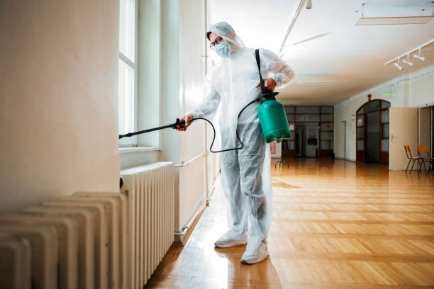 Best Local Pest Control Services  in Revere, MA