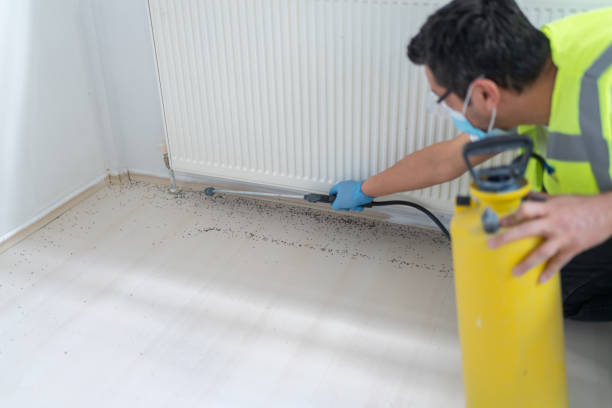 Best Pest Removal Services  in Revere, MA